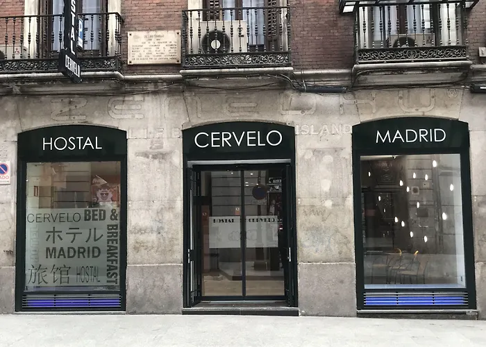 Hostal Cervelo Madri
